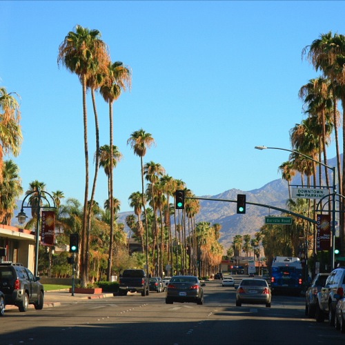Palmbomen langs de weg in Palm Springs